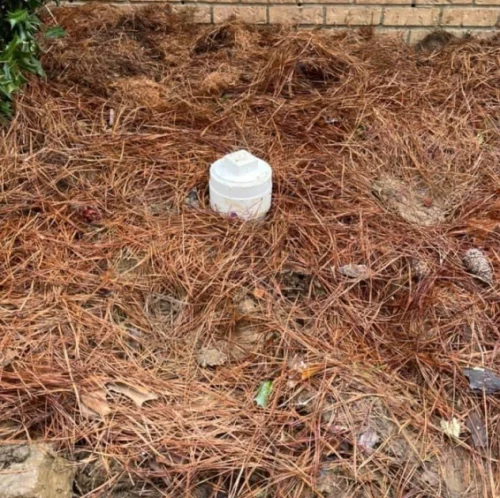 newly fixed and cleaned drain sewer brandon ms